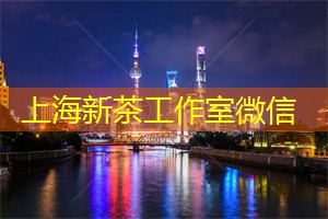爱上海官网：上海迷人的茶花盛宴，绚丽多彩的花艺与茶香的完美结合！