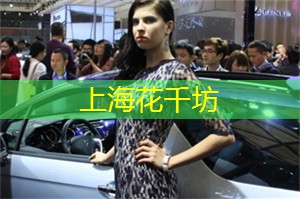 爱上海：宛如银装素裹的童话世界