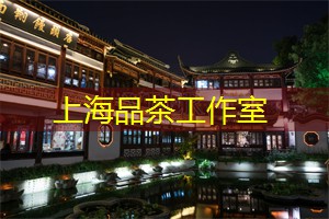 爱上海：体验浓厚的江南水乡风情