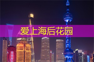 爱上海：位于东方明珠的繁华都市
