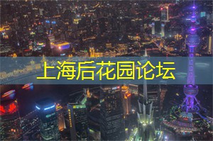 阿拉爱上海：别以为我傻